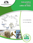Cover for Guía práctica para el cultivo de Setas